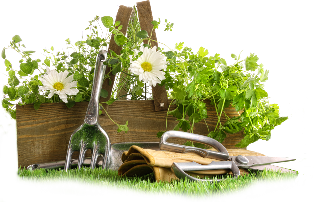 Gartengestaltung Morat | Galabau bei Wüzrburg