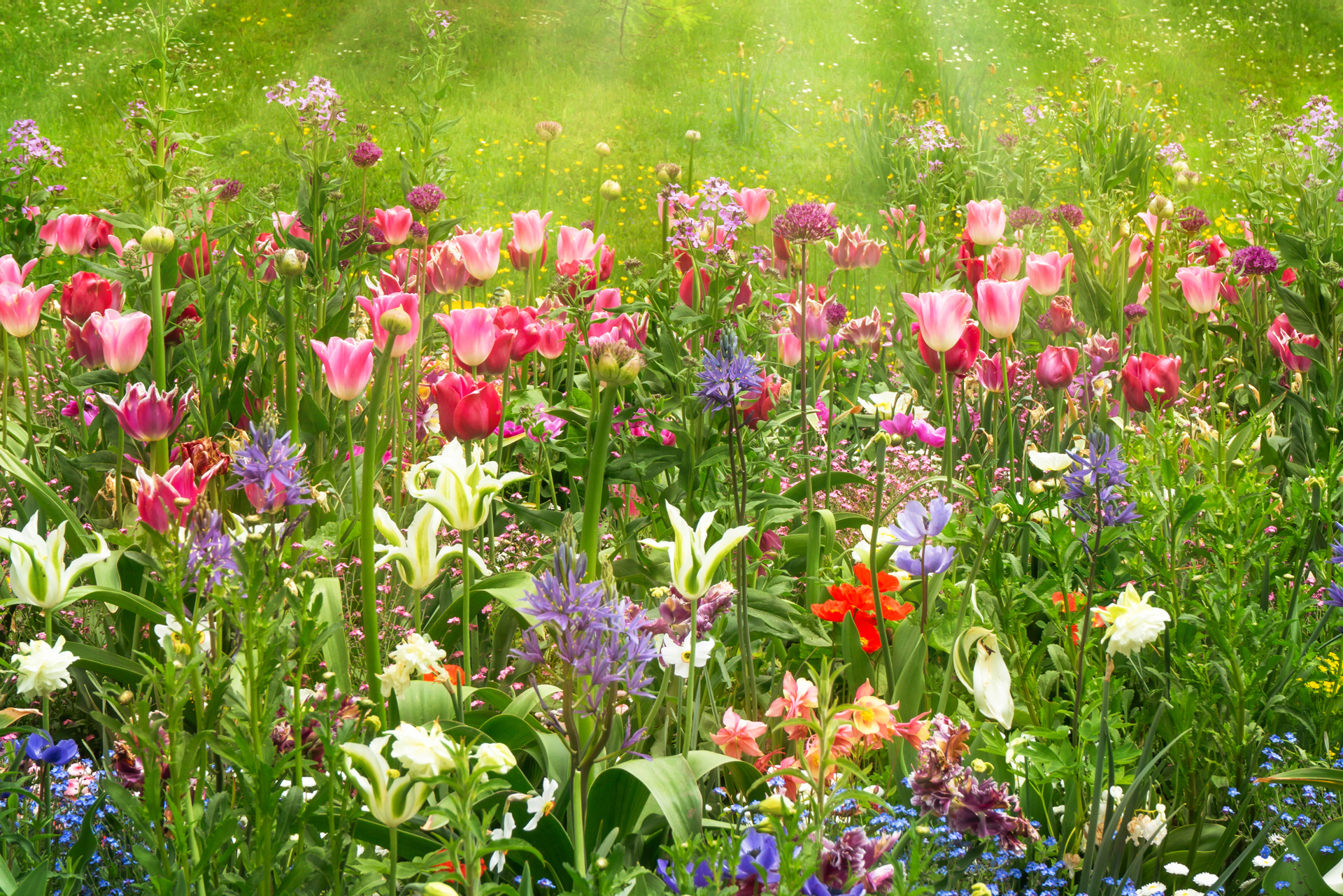 Gartenneuanlagen & -umgestaltung sowie Rasenanlagen | Wüzrburg